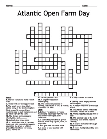 Crossword Puzzle