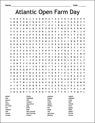 Word Search